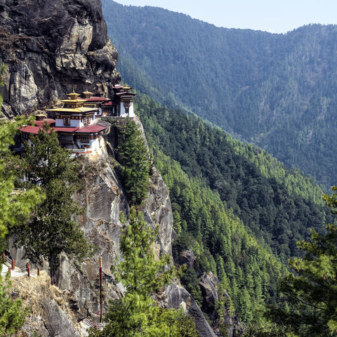 Tigernest Kloster im Paro Tal, Bhutan